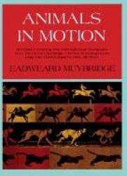 Animals in Motion