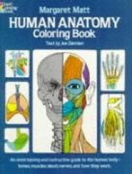 Human Anatomy - Coloring Book