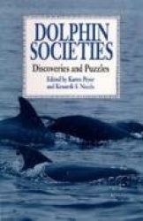 Dolphin Societies - Discoveries and Puzzles