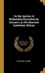 On the Species of Echinoidea Described by Linnaeus in His Museum Ludovicae Ulricae