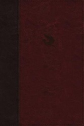 NKJV, Spirit-Filled Life Bible, Third Edition, Imitation Leather, Burgundy, Indexed, Red Letter Edition, Comfort Print