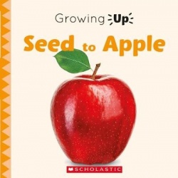 Seed to Apple (Growing Up)