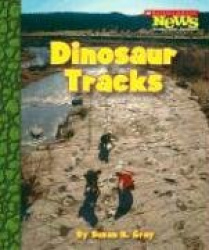 Dinosaur Tracks