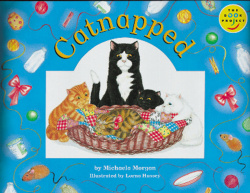 Catnapped Extra Large Format Paper