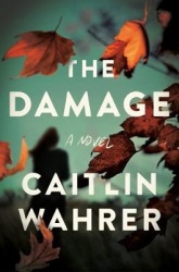 The Damage - A Novel