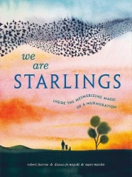 We Are Starlings - Inside the Mesmerizing Magic of a Murmuration