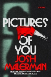 Pictures of You: A Novel