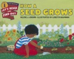 How a Seed Grows