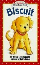Biscuit