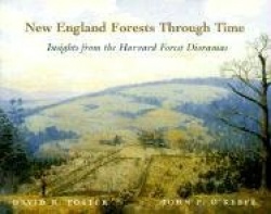 New England Forests Through Time - Insights from the Harvard Forest Dioramas