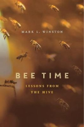 Bee Time - Lessons from the Hive