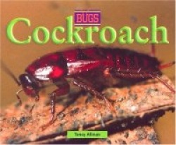 Cockroach