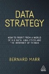 Data Strategy - How to Profit from a World of Big Data, Analytics and the Internet of Things
