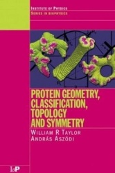 Protein Geometry, Classification, Topology and Symmetry - A Computational Analysis of Structure