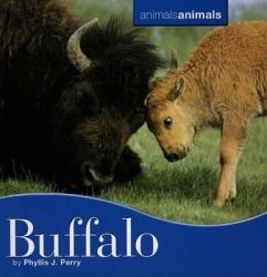 Buffalo