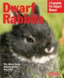 Dwarf Rabbits: Everything about Selection, Care, Nutrition, and Behavior