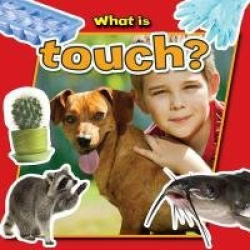 What is Touch?
