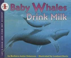 Baby Whales Drink Milk: Poems