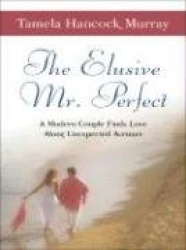 The Elusive Mr. Perfect: A Modern Couple Finds Love Along Unexpected Avenues
