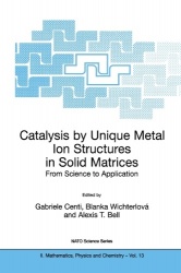 Catalysis by Unique Metal Ion Structures in Solid Matrices : From Science to Application