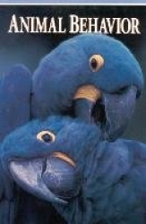 Animal Behavior