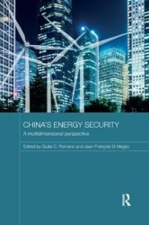 China's Energy Security - A Multidimensional Perspective