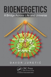 Bioenergetics - A Bridge across Life and Universe
