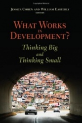 What Works in Development? - Thinking Big and Thinking Small