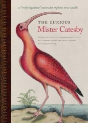The Curious Mister Catesby - A 