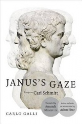 Janus's Gaze - Essays on Carl Schmitt