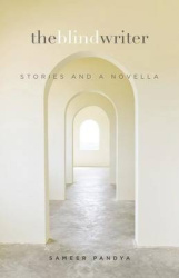 The Blind Writer - Stories and a Novella