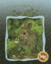 Conejitos (Little Rabbits)