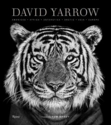 David Yarrow Photography - Americas Africa Antarctica Arctic Asia Europe