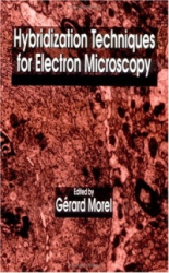 HYBRIDIZATION TECH ELEC MICRO