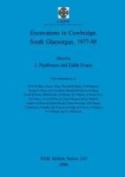 Excavations in Cowbridge, South Glamorgan, 1977-1988