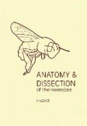 Anatomy & Dissection of the Honeybee
