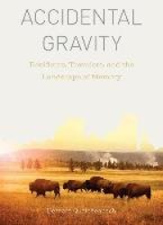 Accidental Gravity - Residents, Travelers, and the Landscape of Memory