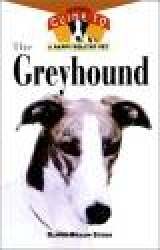 Greyhound