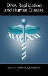 DNA Replication and Human Disease