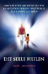 Die Seele Heilen - Erkenntnisse Aus Regressionen in Vorleben Und Das Spirituelle Leben Zwischen Leben