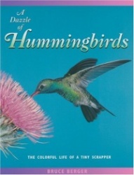A Dazzle of Hummingbirds - The Colorful Life of a Tiny Scrapper