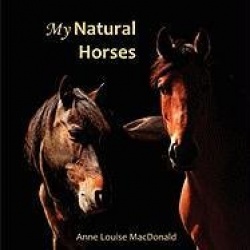 My Natural Horses