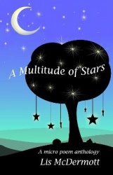 A Multitude of Stars - An Anthology of Micro Poems