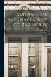 Anthracnose and Gray Bark of Red Raspberries