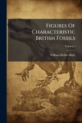 Figures Of Characteristic British Fossils