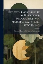 Life Cycle Assessment of Hydrogen Production via Natural Gas Steam Reforming
