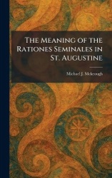 The Meaning of the Rationes Seminales in St. Augustine