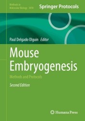 Mouse Embryogenesis