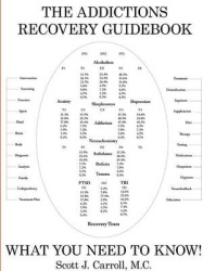 THE Addictions Recovery Guidebook: What You Need to Know!