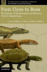 From Clone to Bone: The Synergy of Morphological and Molecular Tools in Palaeobiology